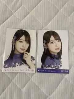 乃木坂46 阪口珠美　乃木コレ 『紅白2022衣装』　R レア 通常