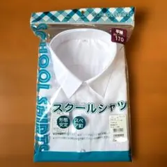 Item thumbnail for item 956451b9-fc79-4da6-a9a0-73e0ded053e5