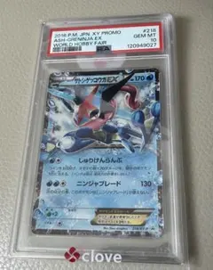 新*ろ様 最安値【PSA10】 シロナのガブリアスex SAR ポケモン - メルカリ