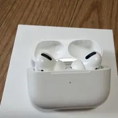 AirPods Pro 本体 充電ケース付き junk