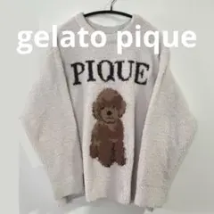ジェラートピケ　gelato pique ルームウェア　トイプードル