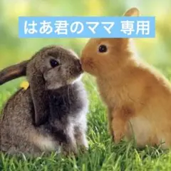 【新品】SK-II クレンジングオイル 250mLのサムネイル