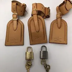 Item thumbnail for item 1801501e-328f-4087-9773-faf7df641016