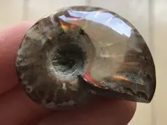 stamp様 リクエスト 2点 まとめ商品