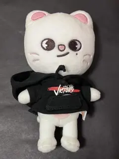 stray kids skzoo MINI PLUSH Jiniret