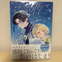 この雪原で君が笑っていられるように(1)