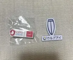 EXPO 2025 チリ ウルグアイ ピンバッジセット