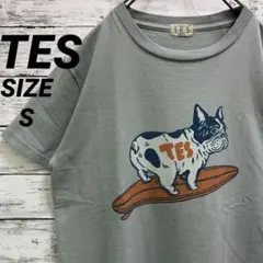 【好配色】TES エンドレスサマー BUHI サーファー Tシャツ フレブル Sのサムネイル
