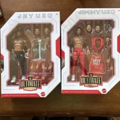 シュタイナーブラザーズ フィギュア 新品 WWE リック・シュタイナ IAI5
