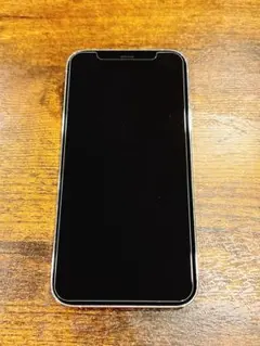 Apple iPhone 12 Pro シルバー 本体　256GB