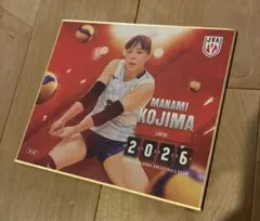 小島満菜美選手　バレーボール　日本代表　2026 トレーディングmini色紙のサムネイル