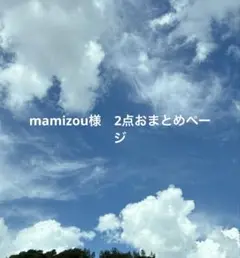 mamizou様2点おまとめページ
