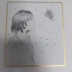 手描きイラスト色紙