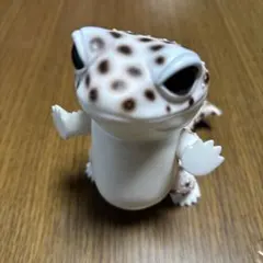 ヒョウモントカゲモドキ アクリルアートピクチャー 爬虫類 レオパ