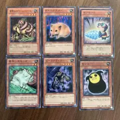 Item thumbnail for item 023eef26-ef21-4e57-a397-d01cfb786d16