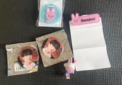 straykids SKZOO DWAEKKI チャンビン　セット