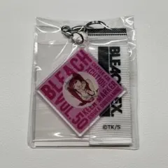 BLEACH EX. オリジナルレコードジャケットキーチェーンコレクション
