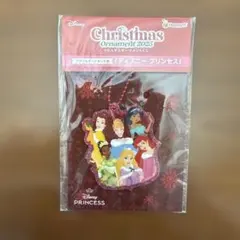 ディズニー クリスマスオーナメントくじ2025 アクリルオーナメント賞
