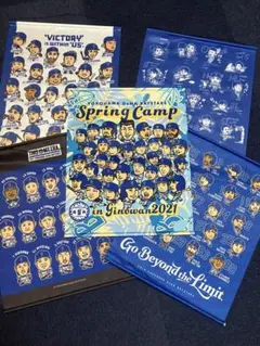 横浜DeNAベイスターズ　タペストリーのサムネイル