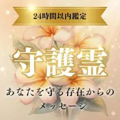 偶然かな。 メイキングBlu-ray 偶然かな。 メイキングBlu-ray 偶然かな。 メイキングBlu-ray