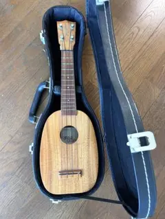 Item thumbnail for item 3d4f82f3-2800-40ce-bbf3-34e6022239b4