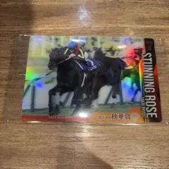 2026年最新】坂井瑠星 カードの人気アイテム - メルカリ