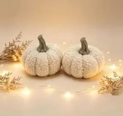 PUMPKIN 飾り 秋 オータム 2個セット