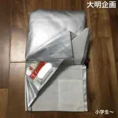 Item thumbnail for item 7f2c607e-c5c6-4d19-8f0f-dbf0f50ed64d