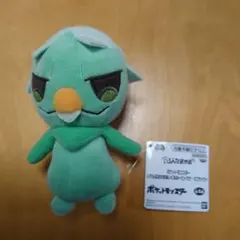 ポケットモンスター ぬいぐるみ 緑