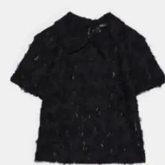 ZARA テクスチャー生地入りレース