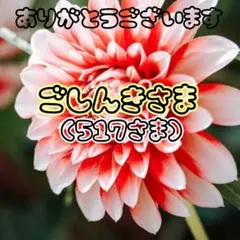 専用ページ517さま