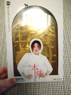 非売品レア】椎名林檎 四発目マキシシングル 本能 サンプル｜非売品