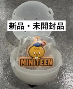 SEVENTEEN MINITEEN ミニティーン　スングァン