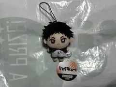 新品未使用 赤葦京治 ハイキュー‼︎ ぬいぷりけmini３④