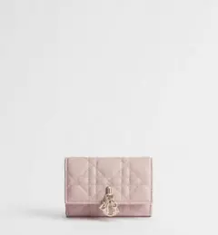 26SS 完売品 Dioramour Lady Dior Glycine 財布 - メルカリ