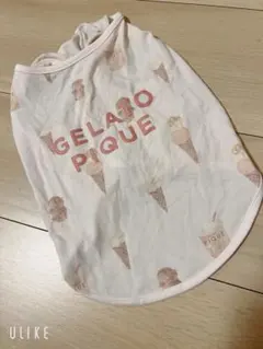 い*ご様 GELATO PIQUE アイスクリーム柄 犬服 Lサイズ