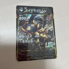 蟲神器 滋賀県プロモ ミイデラゴミムシ2枚セット 虫神器 - メルカリ
