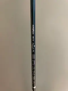 Item thumbnail for item 9a9a42c1-24d3-469f-aefa-0385d6c19dff