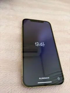 まい様専用iPhone12pro ゴールド