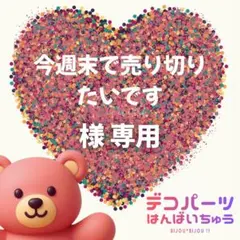 今週末で売り切りたいです 様　専用ページ