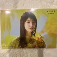 乃木坂46 矢田萌華 セブンネット特典生写真 - メルカリ