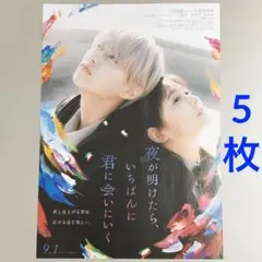 夜が明けたら、いちばんに君に会いにいく　フライヤー　５枚　白岩瑠姫　映画チラシ