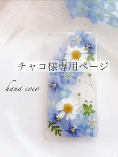 チャコ様専用ページ