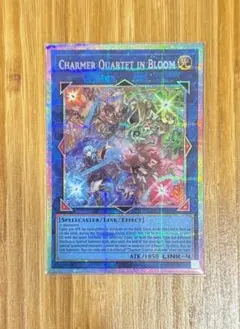 遊戯王 泰亜版 四花繚乱の霊使い プリズマティックシークレットレア