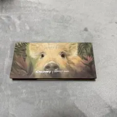 Discovery | PERFECT DIARY アイシャドウパレット