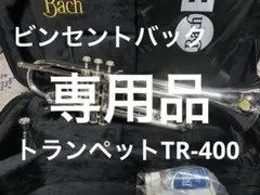 Item thumbnail for item 8f6b6457-2dbf-402d-ba8b-fc16353c5949