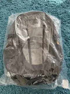 THE NORTH FACE グレー Single shot 20L