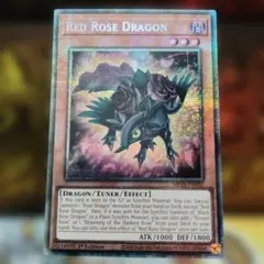 遊戯王 英語版 EU版 ドラゴンメイド・ラドリー スタンプ スターライト
