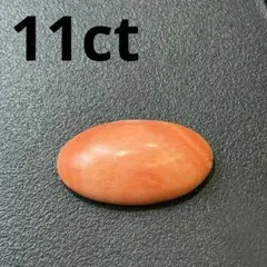 本珊瑚 サンゴ さんご ルース コーラル カボション 11ct 竹41