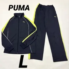 SALE✨PUMA プーマ プージャ ジャージ 上下 セット　イエロー